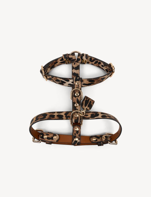 Leopard Y-Harness