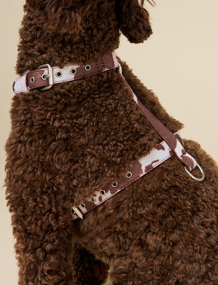 COW PRINT DOG HARNESS