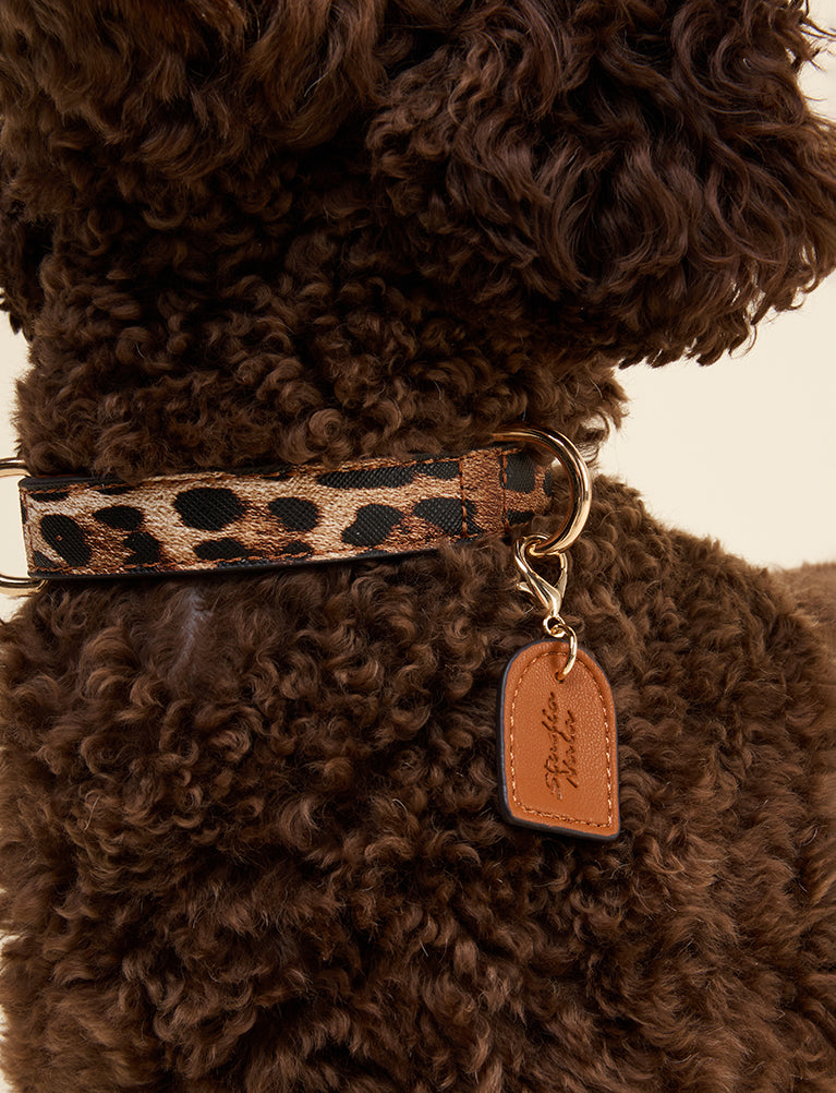 Leopard Collar