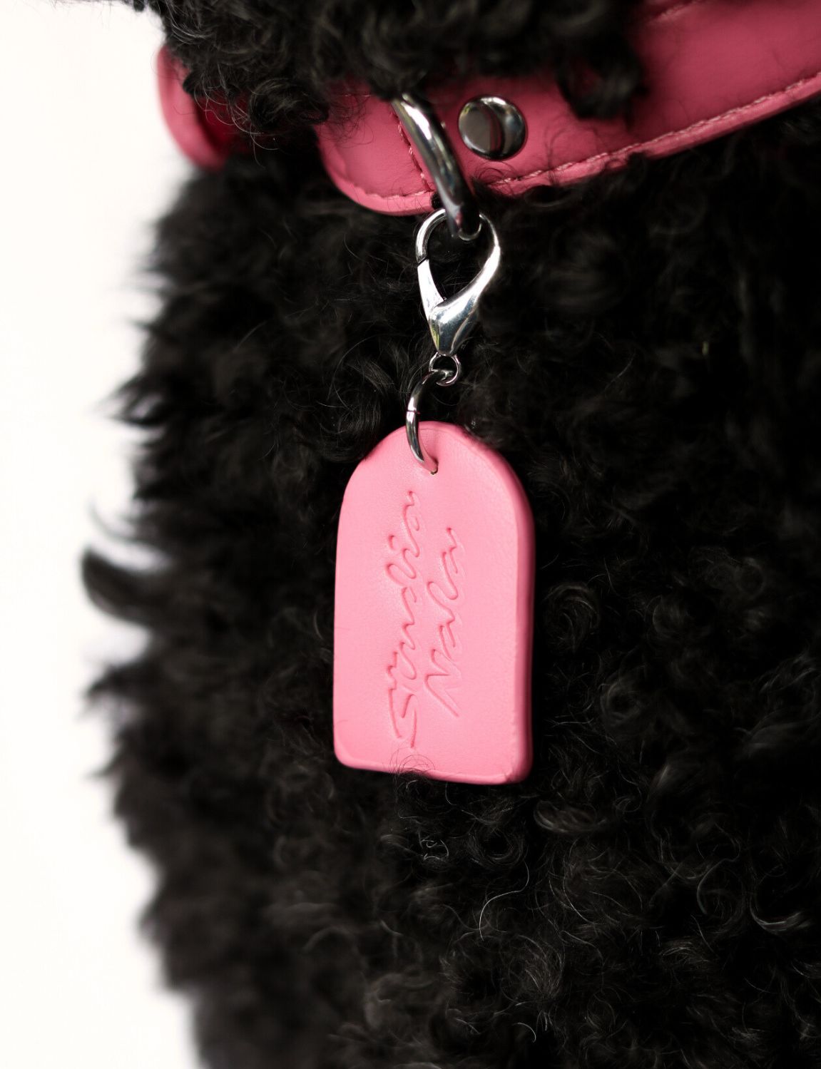 Hot Pink Collar | Dog Collar