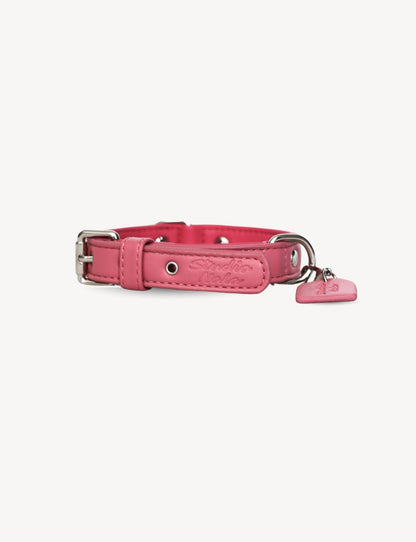 Hot Pink Collar | Dog Collar