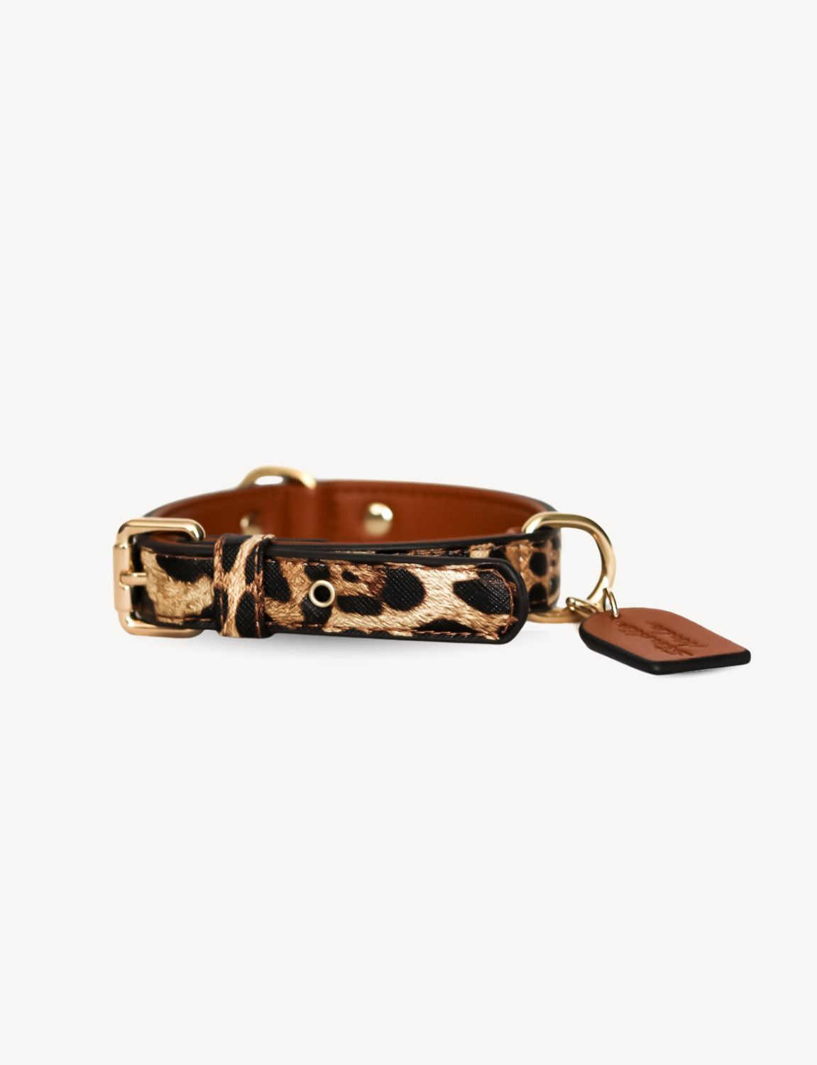 Leopard Collar | Dog Collar