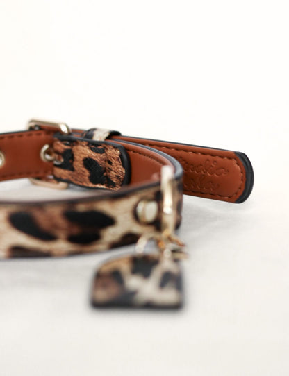 Leopard Halsband | Honden Halsband