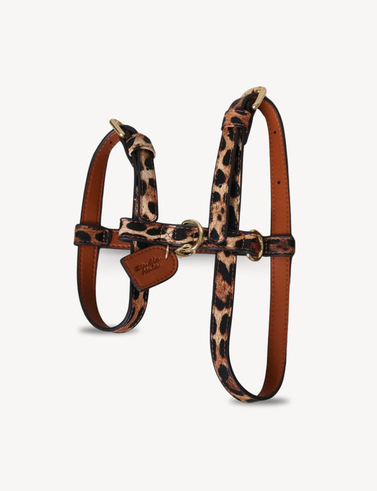 Leopard Y-Harness | Dog Harness