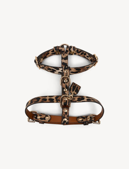 Leopard Y-Harness