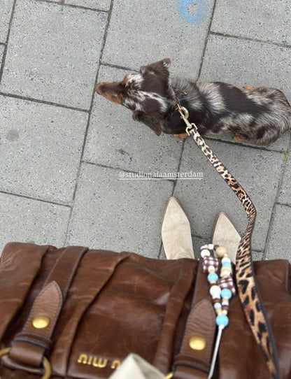 Leopard Leash | Hands-Free Dog Leash