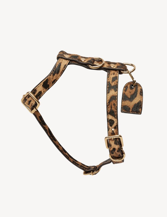 Leopard Y-tuig | Hondenharnas