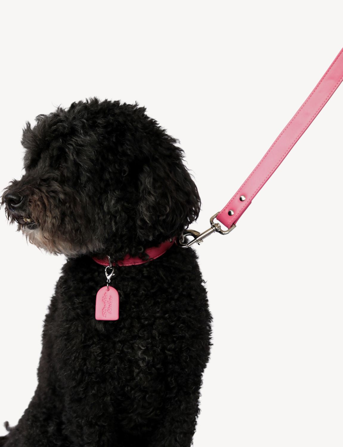 Hot Pink Leash | Hands-Free Dog Leash