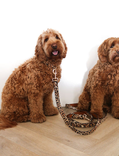 Leopard Leash | Hands-Free Dog Leash