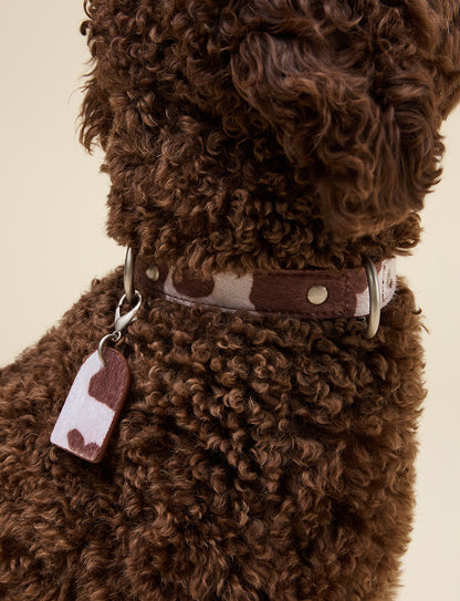 COW PRINT COLLAR