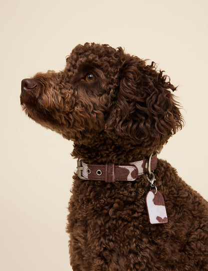 COW PRINT COLLAR