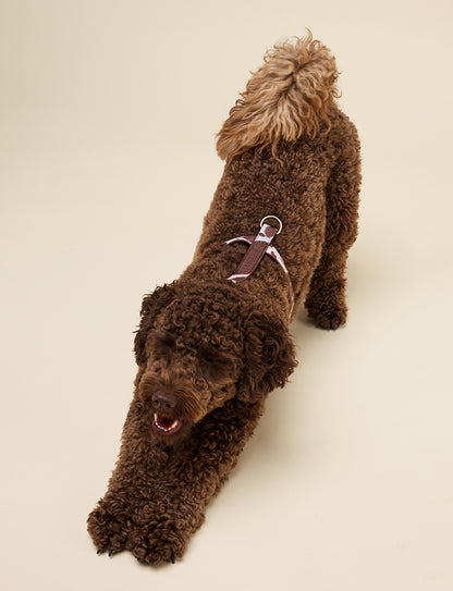 COW PRINT DOG HARNESS