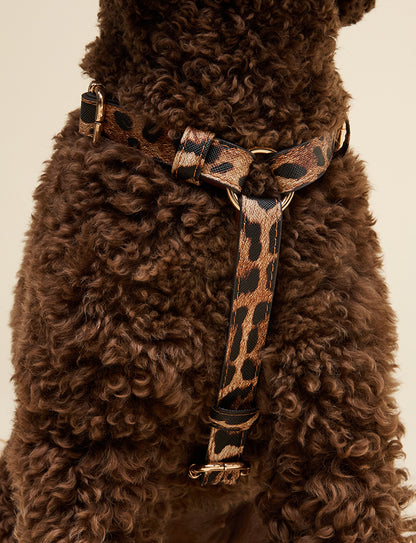 Leopard Y-Harness