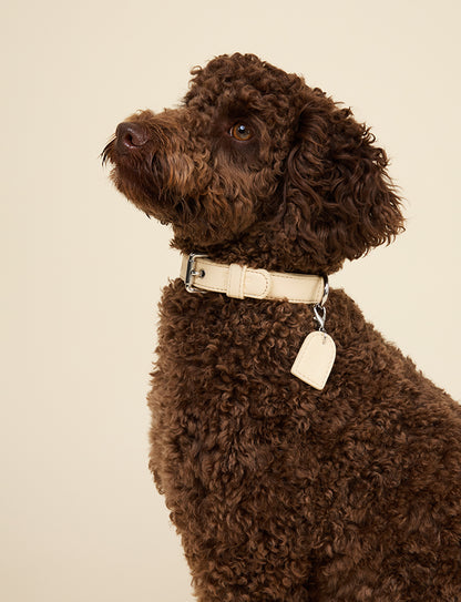 BUTTER YELLOW COLLAR