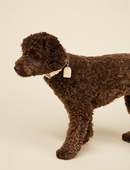 BUTTER YELLOW COLLAR