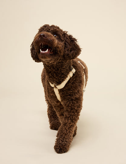 BUTTER YELLOW HARNESS