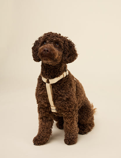 BUTTER YELLOW HARNESS