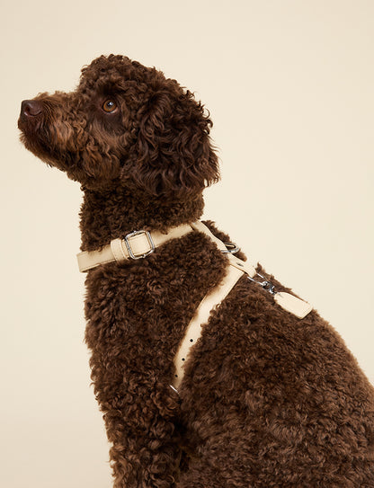 BUTTER YELLOW HARNESS